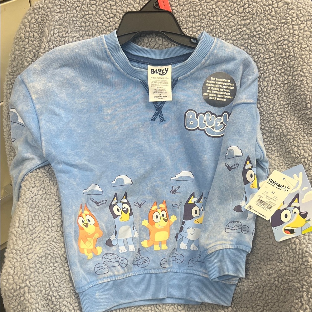 2T Light Blue Bluey Pullover NWT